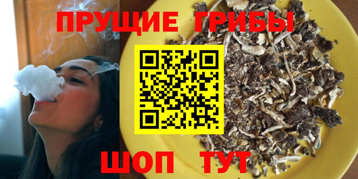 Сунжа  Псилоцибиновые грибы мицелий  где купить наркоту  Вход с VPN 
