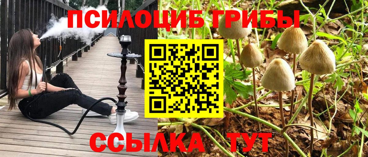 Псилоцибиновые грибы Magic Shrooms Сунжа